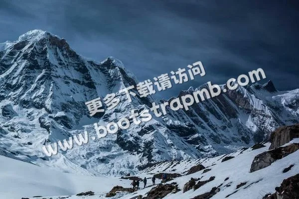 ⊞ Portfolio - 九球体育直播APP